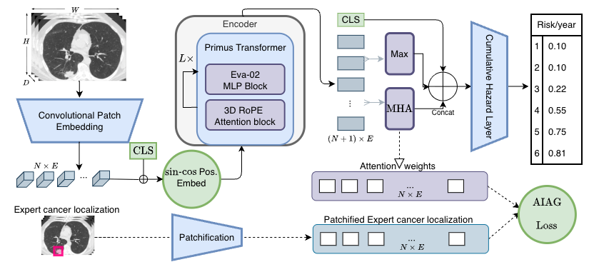 LungEvaty Architecture